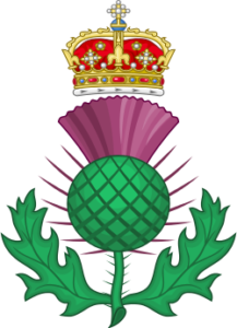 The Thistle, the royal badge of Scotland