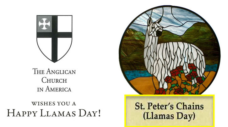 Happy Llamas Day from the ACA